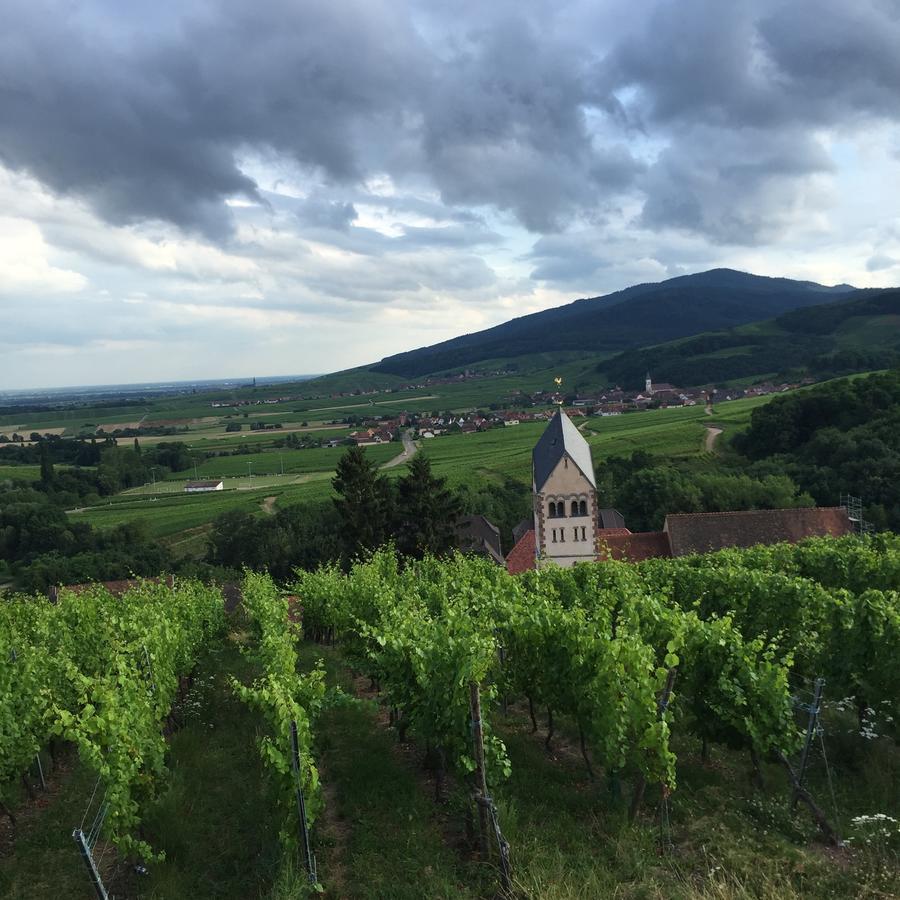 Gite Fleur De Vignes Itterswiller Exteriör bild