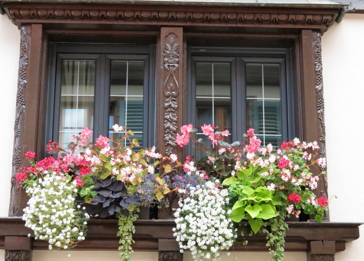 Gite Fleur De Vignes Itterswiller Exteriör bild