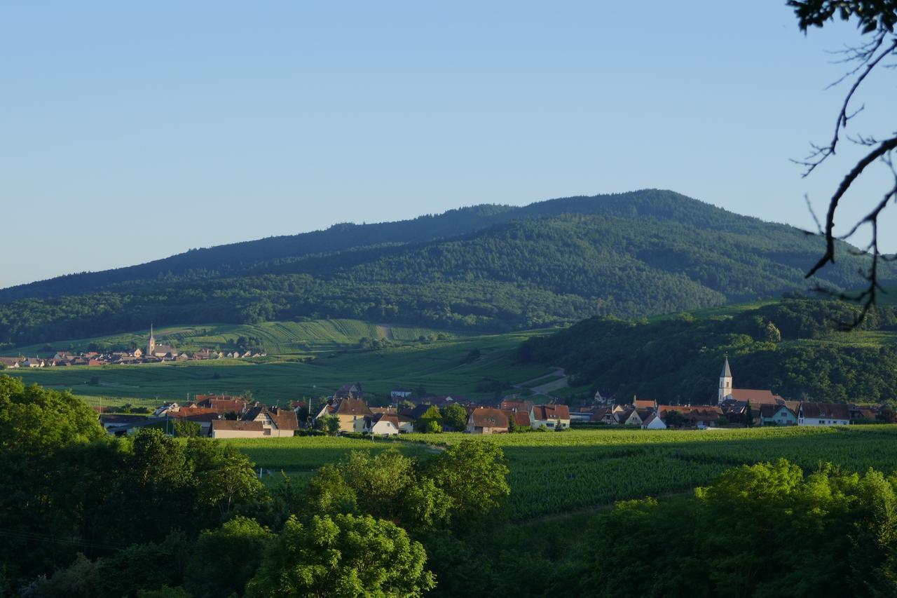 Gite Fleur De Vignes Itterswiller Exteriör bild